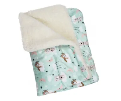Ultra Soft Minky Bedtime Bears Pajamas